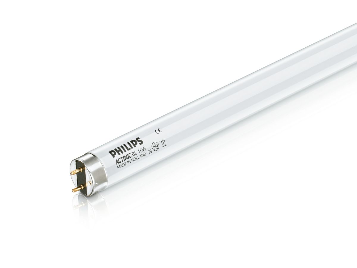 Signify Actinic BL TL(-K)/TL-D(-K) - UV Lampe 71093240