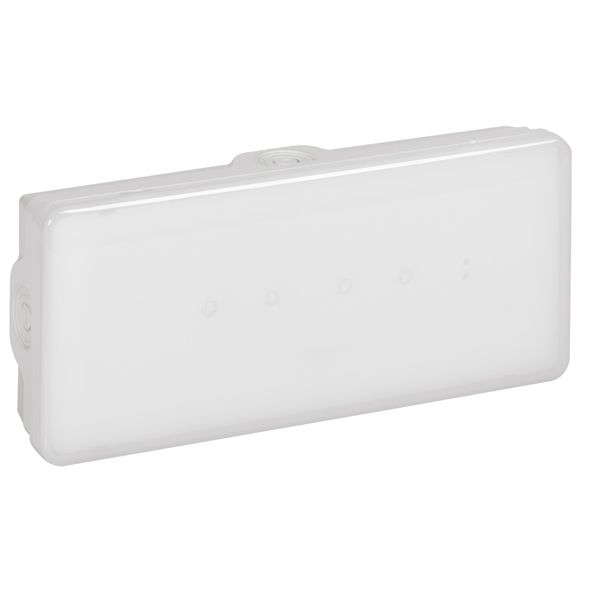 Legrand B65 100LM 1 Stunde Dauer und Bereitschaftsschaltung IP65 661431